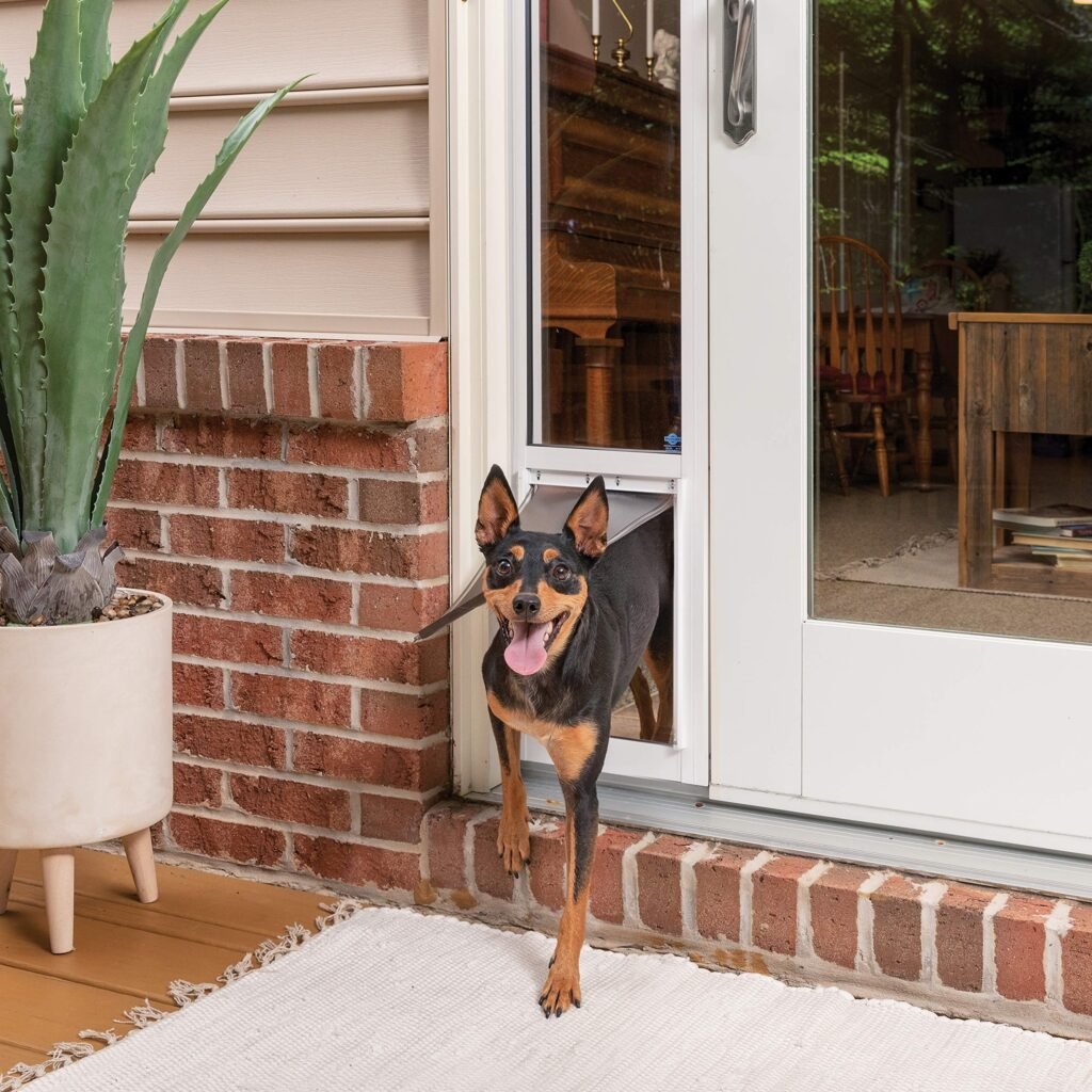 PetSafe Sliding Glass Cat and Dog Door Insert - Great for Rentals and Apartments - No Cutting DIY Installation - (Medium)