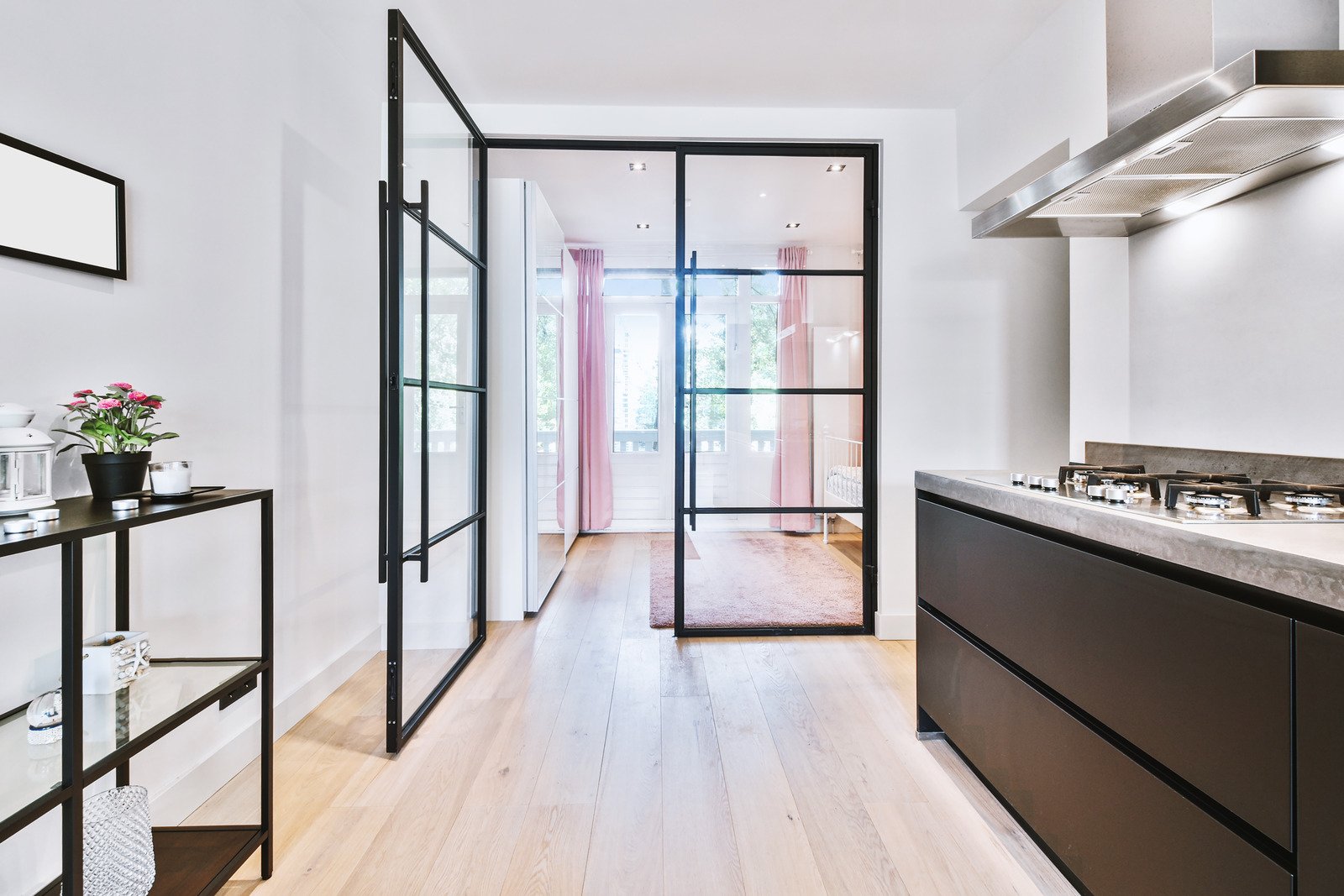 Crittall Doors Guide: All You Need to Know