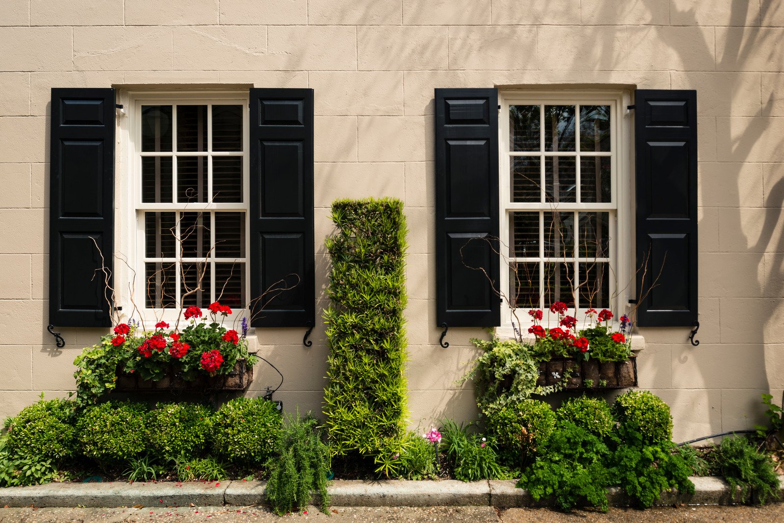 Best Window Boxes: Top Choices for Your Home Garden Display