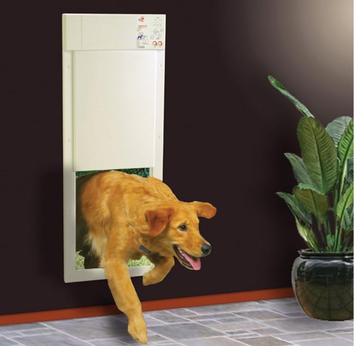 The Ultimate Guide to Choosing the Best Electronic Dog Door