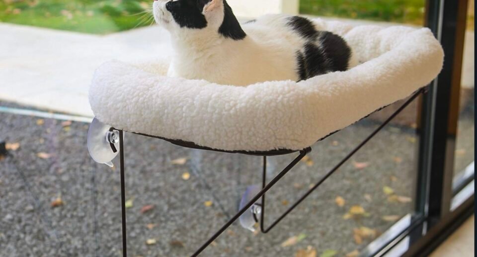 What’s the Best Cat Window Perch? Our Top 5 Revealed