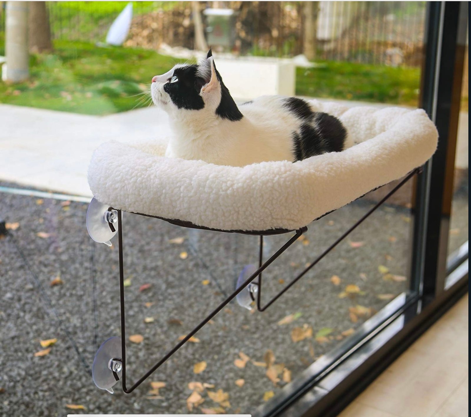 What’s the Best Cat Window Perch? Our Top 5 Revealed