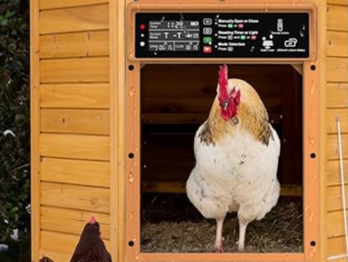 The Ultimate List of Best Automatic Chicken Coop Doors for 2024