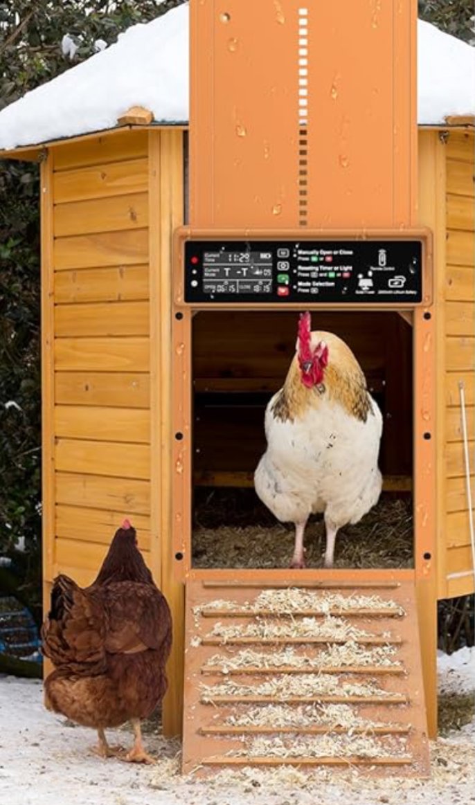 The Ultimate List of Best Automatic Chicken Coop Doors for 2024