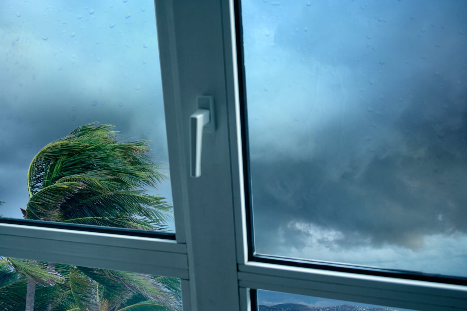 where to Buy Storm Windows